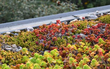 the cost of Parcllyn green roof installation